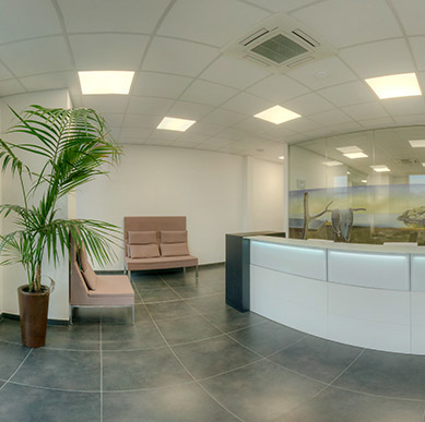 reception vista